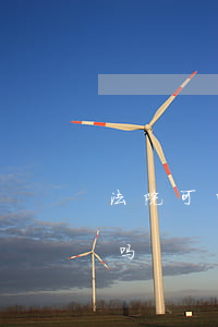 法院可以查到有贷款吗(法院能查到贷款记录吗)