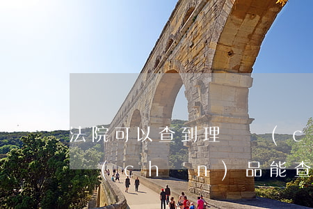 法院可以查到理財產(chǎn)品嗎(理財產(chǎn)品能查出來嗎)