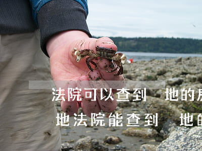 法院可以查到異地的房產(chǎn)嗎(本地法院能查到異地的案子嗎)