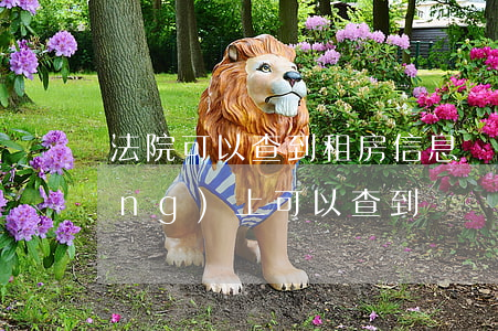 法院可以查到租房信息嗎(租房合同網(wǎng)上可以查到嗎?)