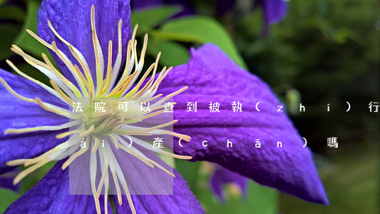 法院可以查到被執(zhí)行人的財(cái)產(chǎn)嗎