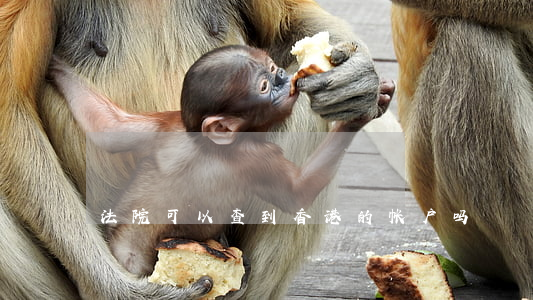 法院可以查到香港的帐户吗