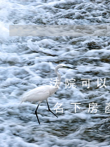 法院可以查名下房產(chǎn)嗎(查別人名下房產(chǎn)犯法嗎)