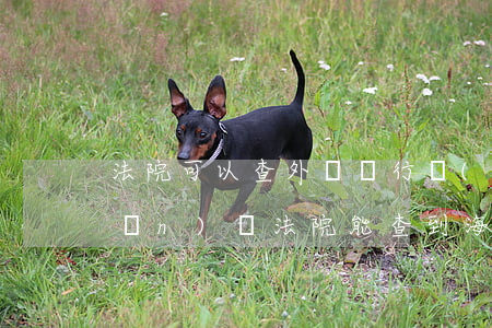 法院可以查外國銀行財(cái)產(chǎn)嗎(法院能查到海外資產(chǎn)嗎)