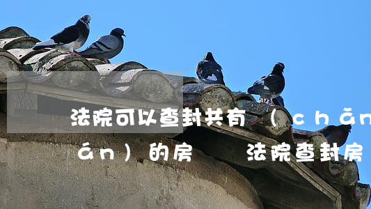 法院可以查封共有產(chǎn)權(quán)的房間嗎(法院查封房產(chǎn)沒有通知共有人,是否有效)