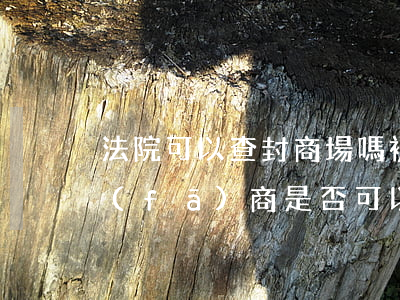 法院可以查封商場嗎(被法院查封的房子開發(fā)商是否可以賣)