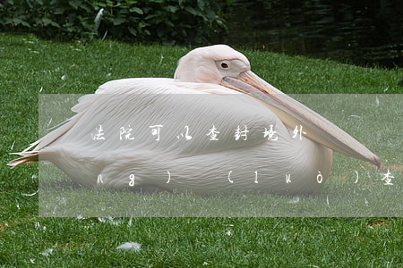 法院可以查封境外賬戶嗎(法院可以網(wǎng)絡(luò)查封銀行賬號(hào)嗎)