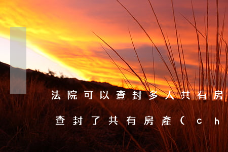法院可以查封多人共有房產(chǎn)嗎(查封了共有房產(chǎn)可以進行拍賣嗎?)