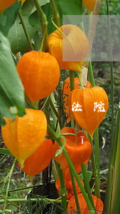 法院可以查封天貓店嗎(天貓嚴重違規(guī)48分封店了還有辦法申訴嗎)