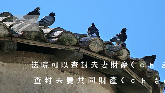 法院可以查封夫妻財產(chǎn)嗎(法院查封夫妻共同財產(chǎn)的程序)