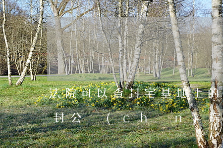 法院可以查封宅基地上的公司嗎(法院可以查封公產(chǎn)房嗎)
