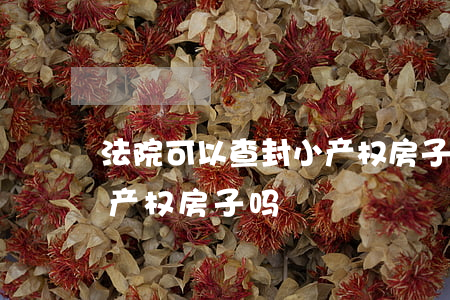 法院可以查封小产权房子吗(法院可以查封小产权房子吗)