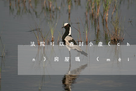 法院可以查封小產(chǎn)權(quán)房屋嗎(沒(méi)辦產(chǎn)權(quán)證的房子法院可以查封嗎)