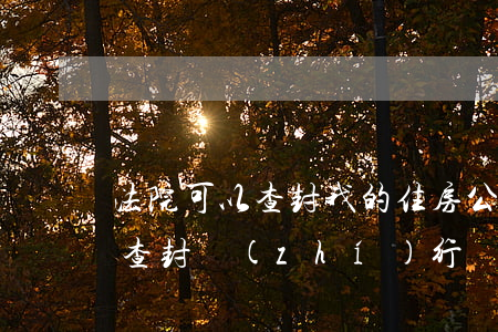 法院可以查封我的住房公積金嗎(公積金可以查封執(zhí)行嗎)