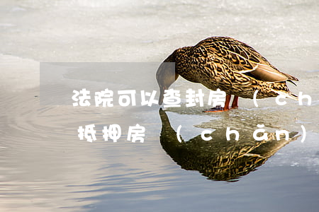 法院可以查封房產(chǎn)出租抵債嗎(抵押房產(chǎn)法院查封 是否可以買賣)