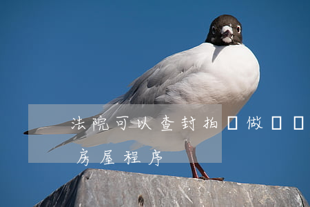 法院可以查封拍賣做為賠償嗎(法院查封拍賣房屋程序)