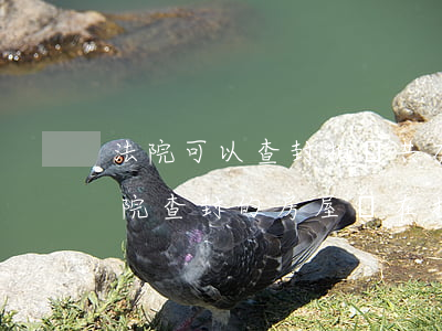 法院可以查封拍賣共有物嗎(多個(gè)法院查封的房屋誰在拍賣)