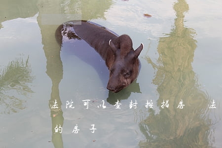 法院可以查封按揭房嗎(法院能查封抵押貸款的房子嗎)
