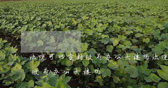 法院可以查封政府办公大楼吗(法院可以查封政府办公大楼吗)