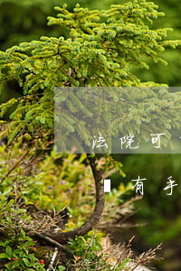 法院可以查封未成年的房產(chǎn)嗎(沒有手續(xù)的房子法院可以查封嗎)