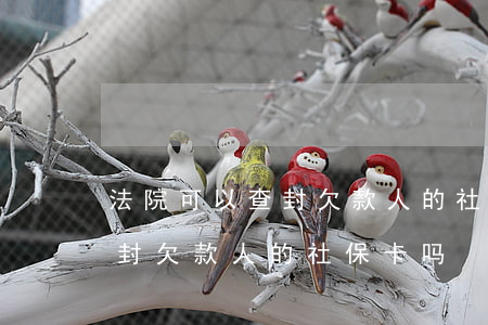 法院可以查封欠款人的社保卡吗(法院可以查封欠款人的社保卡吗)