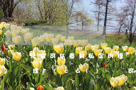 法院可以查封私企的理財(cái)帳戶嗎(理財(cái)賬戶可以凍結(jié)嗎)
