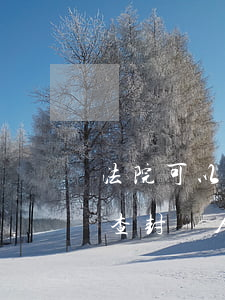 法院可以查封第三人是財產嗎(法院可以隨便查封個人財產嗎)