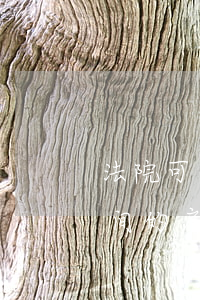 法院可以查封被告租赁的房屋吗(法院查封期间的房子出租了构成什么罪)