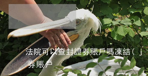 法院可以查封證券賬戶嗎(凍結(jié)證券賬戶)