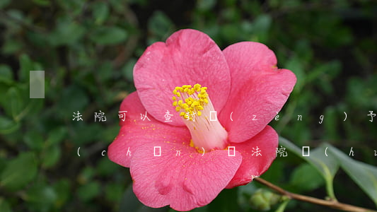 法院可以查封贈(zèng)予子女的房產(chǎn)嗎(法院會(huì)查封被執(zhí)行人父母或子女的財(cái)產(chǎn)嗎)