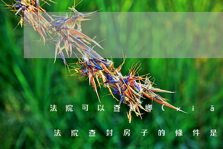 法院可以查封鄉(xiāng)下的房子嗎(法院查封房子的條件是什么)