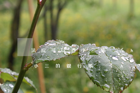 法院可以查小三賬戶(hù)嗎(離婚可以查小三的銀行賬戶(hù)嗎)