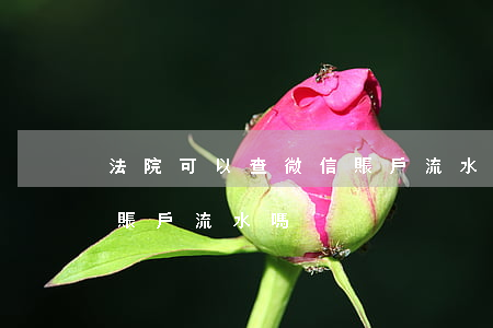 法院可以查微信賬戶流水嗎(法院可以查微信賬戶流水嗎)