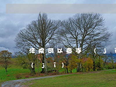 法院可以查手機(jī)嗎(法院可以查手機(jī)嗎)