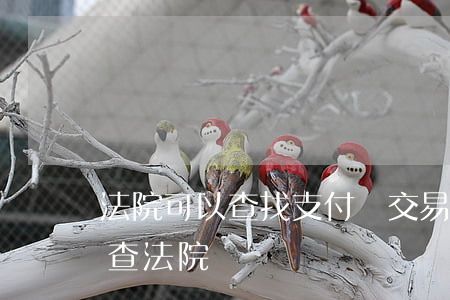 法院可以查找支付寶交易記錄嗎(支付寶怎么查法院記錄)