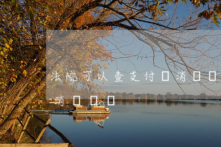 法院可以查支付寶消費記錄嗎(查別人支付寶消費記錄)