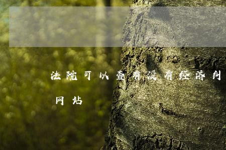 法院可以查有没有经济纠纷吗(查经济纠纷的网站)