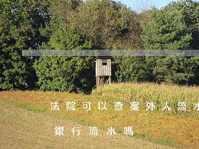 法院可以查案外人流水嗎(法院能查詢被告的銀行流水嗎)
