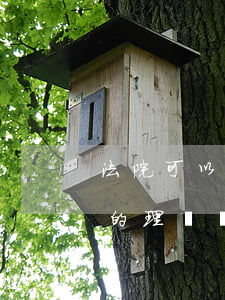 法院可以查理財產(chǎn)品嗎(銀行買的理財產(chǎn)品法院會不會查到)