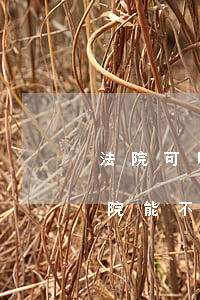 法院可以查老賴家人的帳戶嗎(老賴租房子法院能不能查到)