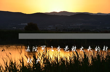 法院可以查老赖丈夫的财产吗(怎么查询老赖财产)