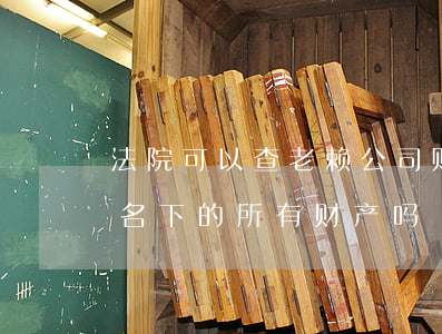 法院可以查老赖公司账务吗(法院能查到老赖名下的所有财产吗)