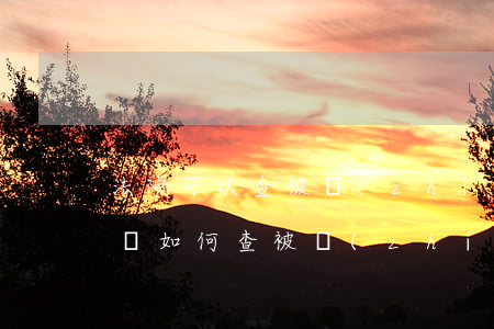 法院可以查被執(zhí)行人的通訊記錄嗎(如何查被執(zhí)行人信息)