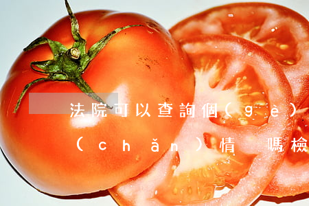 法院可以查詢個(gè)人財(cái)產(chǎn)情況嗎(檢察院可以查詢個(gè)人財(cái)產(chǎn)嗎)