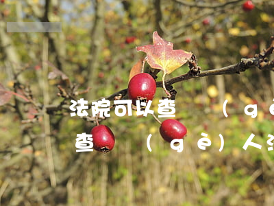 法院可以查詢個(gè)人通信信息嗎(怎么查詢個(gè)人法院案件信息)
