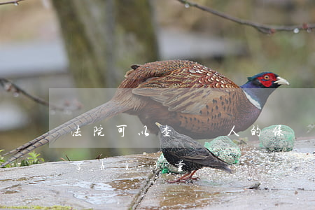 法院可以查詢個人的保險(xiǎn)數(shù)量嗎