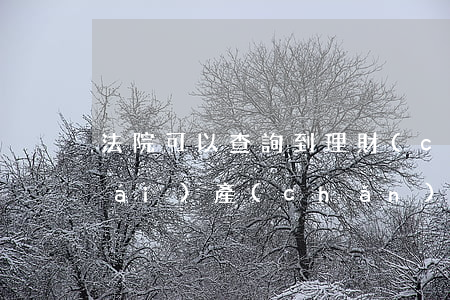法院可以查詢到理財(cái)嗎(理財(cái)產(chǎn)品法院能查到嗎)