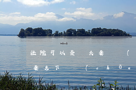 法院可以查詢夫妻財產(chǎn)嗎(查夫妻名下財產(chǎn)怎么查)