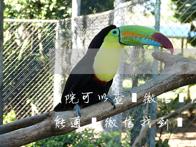 法院可以查詢微信嗎(法院執(zhí)行局能通過微信找到嗎)