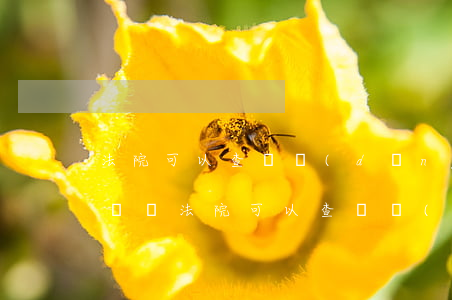 法院可以查詢當(dāng)事人的銀行賬戶嗎(法院可以查詢個(gè)人名下所有銀行卡嗎)